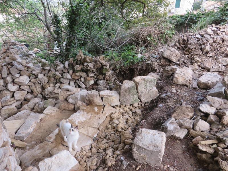 Wall foundations